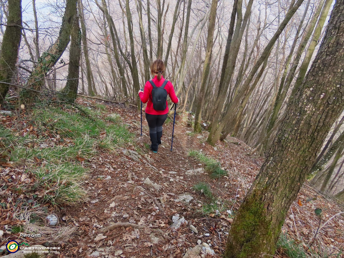 65 Scendiamo al Roccolo della Passata dal ripido sentiero 571-Passo Alpino.JPG